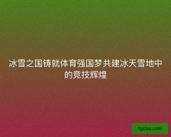 冰雪之国铸就体育强国梦共建冰天雪地中的竞技辉煌